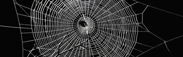 Botanix Labs' Mission to Bring Bitcoin to Defi Moves to Final Testnet Phase