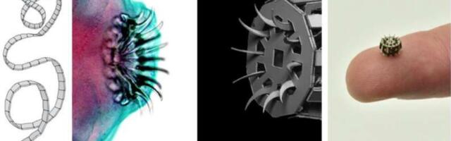 This Robotic Medical Tapeworm Mimics the Real Parasite to Invade Your Body