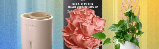 The 14 Best Gifts for Plant Lovers We’d Buy Ourselves (2025)