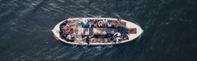 From talent to traction: Vio.com shows the power of the Dutch Skilled Migrant Visa