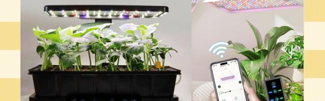 The Best Plant and Gardening Gifts From LetPot (2025)