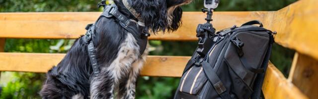 The 7 Insta360 X5 Accessories You Need When Filming Your Adventures Throughout The Year