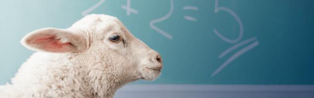 Why VCs can’t be experts all the time