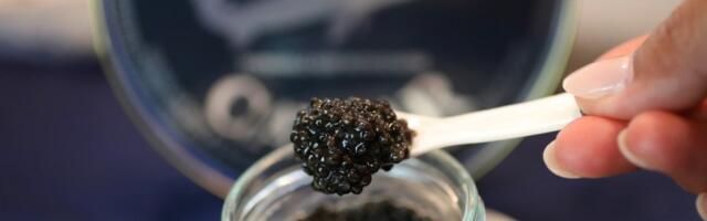 How a California caviar producer with a fake Russian name became the vanguard of sustainable aquaculture