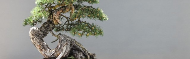 This is why big companies can’t scale up innovation