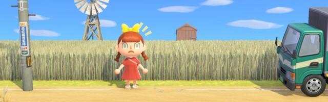 The nostalgia and surprise of returning to Animal Crossing: New Horizons