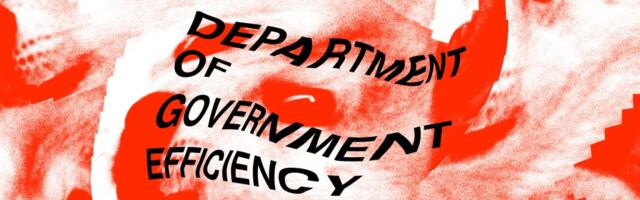 What 1,000 pages of documents tell us about DOGE