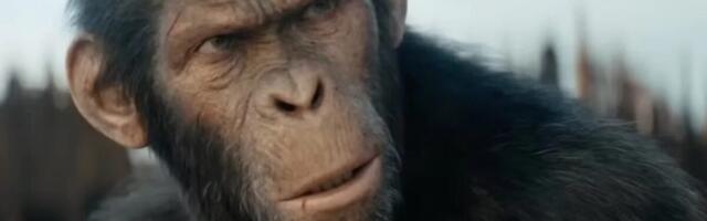 ‘Fantastic Four’ Director Matt Shakman Will Helm Next ‘Planet of the Apes’ Movie