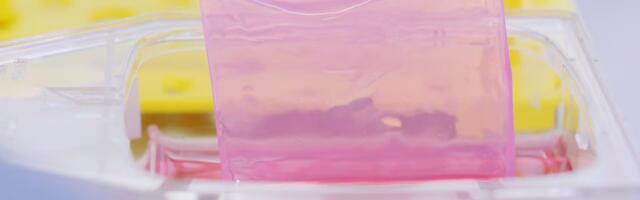 CUTISS secures €57.9M Series C to advance regenerative skin therapies