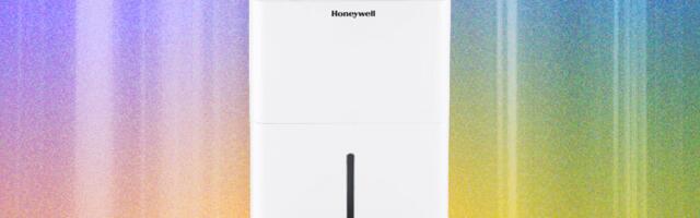 7 Best Dehumidifiers for Cool and Dry Home Air (2025) 7 Best Dehumidifiers for Cool and Dry Home Air (2025)