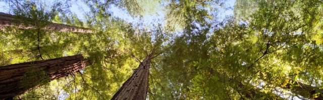 Five ways to accelerate tech for good