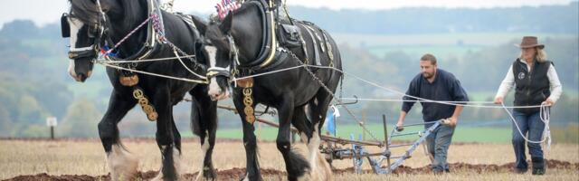 AI companies are just companies