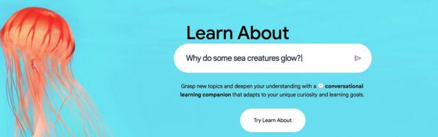 Google’s AI ‘learning companion’ takes chatbot answers a step further