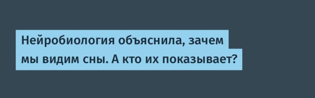 Нейробиология объяснила, зачем мы видим сны. А кто их показывает?