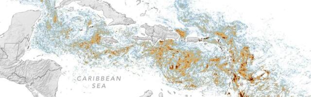 NASA Map Reveals Record Blob of Vacation-Wrecking Seaweed