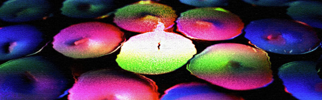 Fallen out of love with your business? Here’s how to reignite the flame