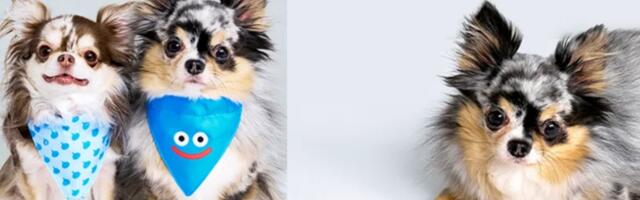 Square Enix releases Final Fantasy 7 Buster Sword for pets