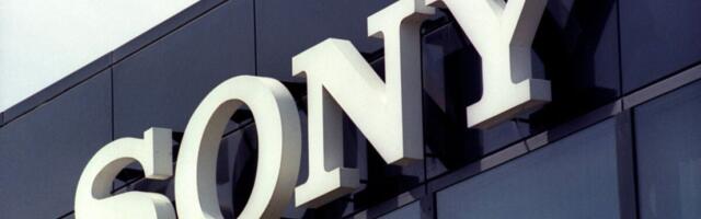 First Western Digital, now Sony: The tech giant suspends SD card sales