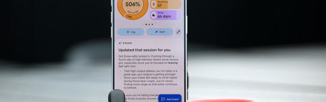 Fitbit Air review: Health tracking for the AI generation