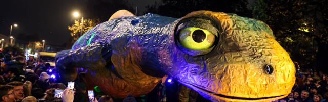 Macnas presents Alf, the Giant Newt in Dublin as part of Science Week 2024