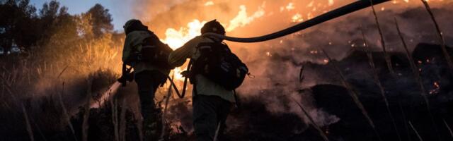Forecasters predict wildfires, floods, severe heatwaves from incoming El Niño