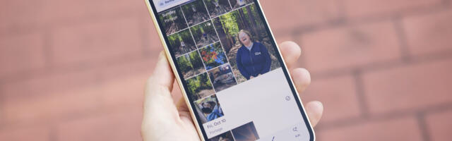 I tried replacing Google Photos with Amazon Photos — and it went better than expected