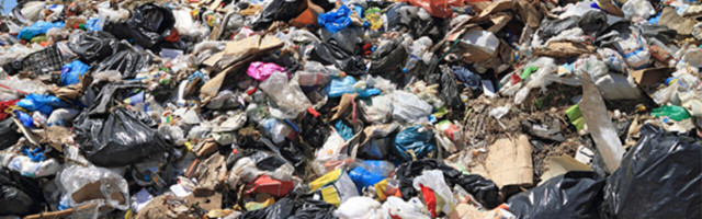 This AI wants to play with your garbage so we don’t all die