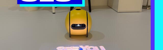 The Best Robots of CES 2025