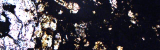 A Meteorite From Alaska Challenges Theory of How Earth Got Its Water