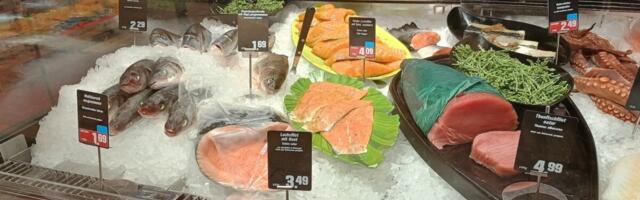 Seafood Isn’t the Microplastic Villain You Think It Is