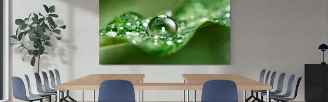 Sony’s new 135-inch display is basically boardroom excess in its finest form