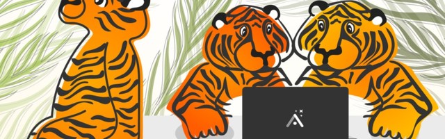 Tiger Global has invested in 16 European startups worth €70bn this year
