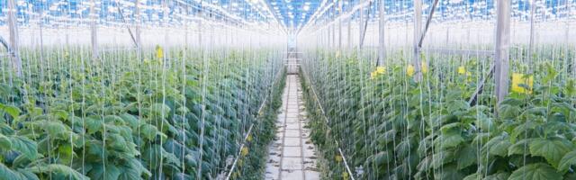 From nose wearables to brain implants: 11 tech for good startups and scaleups to watch