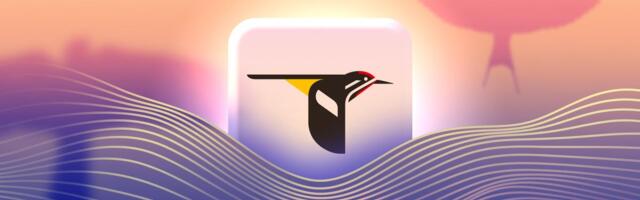 The Merlin Bird ID App Has Kept Me Grounded in the Present More Than Any Meditation App