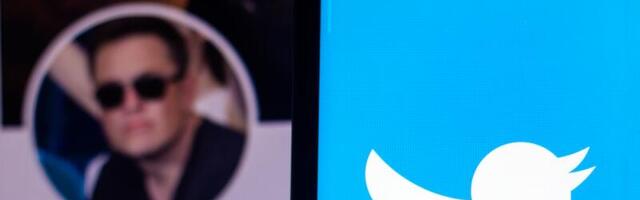 No bots and an edit button: Better Social Media wants to trump Elon Musk’s Twitter