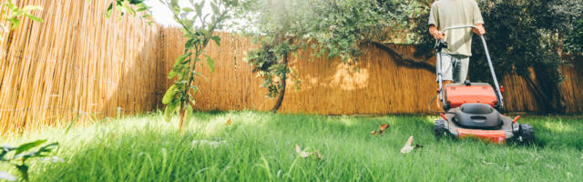 How Often Should You Change The Oil In Your Lawn Mower?