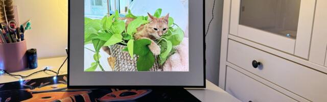 Review: Aura's 15" Walden Smart Photo Frame Makes a Touching Gift