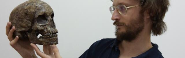 Зубной камень, ДНК вшей и чешуйка крыла моли: как технологии помогают антропологии. Спойлер: ИИ тут бессилен