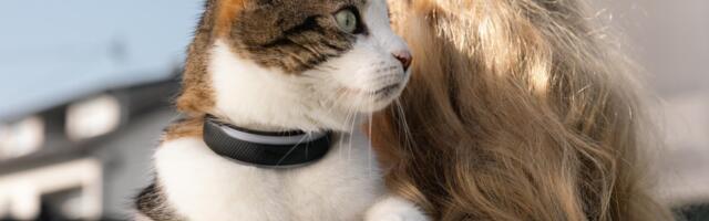 Tractive’s new dog and cat trackers provide more health insights for your pets