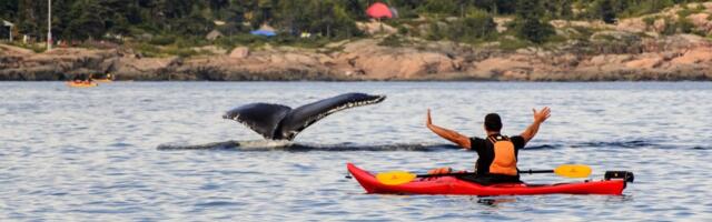 Kayaking in unusual places gives a unique perspective to sightseeing