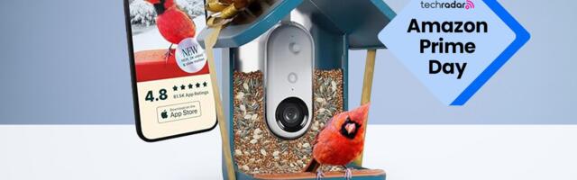 Better than birdsong, this Birdbuddy Pro Prime Day Deal soars to new heights and takes you up close and personal with our feathered friends for less