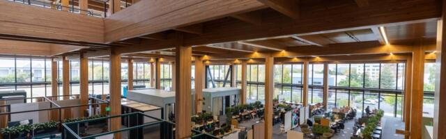 Google unveils unique and eco-friendly mass timber Sunnyvale office