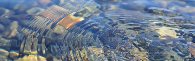 The Dangers of Drinking ‘Raw Water’