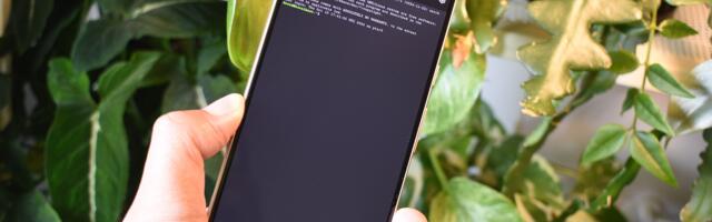 I activated the Linux terminal on my Pixel, and you should too