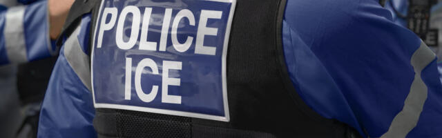 The DOJ is reportedly asking Reddit and X for the identities of anti-ICE posters