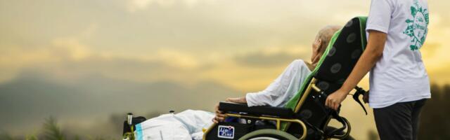Create-ive Projects Are the Green Shoots of a National Digital Assistive Technology Ecosystem