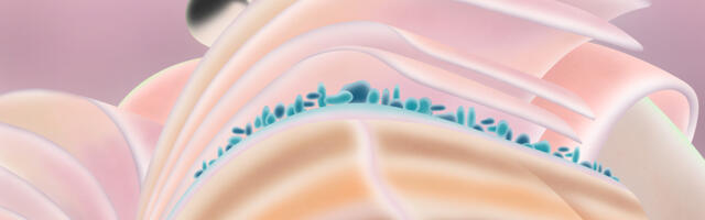 Mud libraries hold the story of the Earth’s climate past — and foretell its future