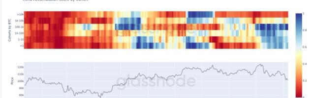 Bitcoin Whales vs Everyone Else, and the Whales Are Winning