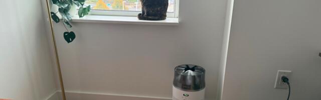 I ran the Dyson HushJet 24/7 for a week. Its so quiet that I forgot it was on, but I did notice fresher air.