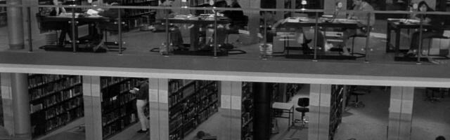 Декарт, Поппер и баг в продакшене, или почему самый полезный предмет в моей карьере не имел отношения к ИТ